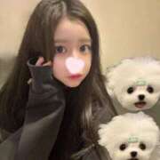 ヒメ日記 2025/08/01 00:09 投稿 といろ 風神会館新宿店