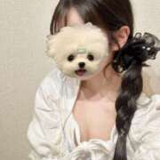 ヒメ日記 2025/08/19 03:12 投稿 といろ 風神会館新宿店