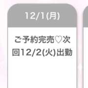 ヒメ日記 2025/12/01 17:36 投稿 めあり★元モデルの有名企業OL 渋谷S級素人清楚系デリヘル chloe