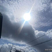 ヒメ日記 2025/07/17 16:24 投稿 ねいる 熟女の風俗最終章 本厚木店