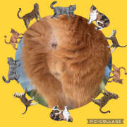 ヒメ日記 2025/08/01 12:27 投稿 ねいる 熟女の風俗最終章 本厚木店