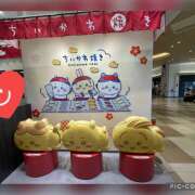 ヒメ日記 2025/08/10 20:12 投稿 ねいる 熟女の風俗最終章 本厚木店