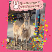 ヒメ日記 2025/10/14 22:39 投稿 ねいる 熟女の風俗最終章 本厚木店