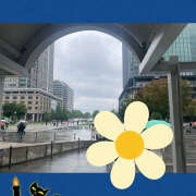 ヒメ日記 2025/10/26 08:03 投稿 ねいる 熟女の風俗最終章 本厚木店