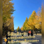 ヒメ日記 2025/11/24 09:02 投稿 ねいる 熟女の風俗最終章 本厚木店