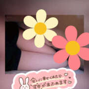 ヒメ日記 2025/12/12 20:07 投稿 ねいる 熟女の風俗最終章 本厚木店