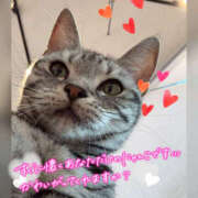 ヒメ日記 2026/01/18 08:55 投稿 ねいる 熟女の風俗最終章 本厚木店