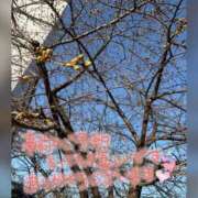 ヒメ日記 2026/01/27 00:17 投稿 ねいる 熟女の風俗最終章 本厚木店