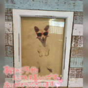 ヒメ日記 2026/01/30 22:01 投稿 ねいる 熟女の風俗最終章 本厚木店