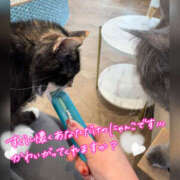 ヒメ日記 2026/02/10 21:12 投稿 ねいる 熟女の風俗最終章 本厚木店