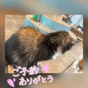 ヒメ日記 2026/02/11 01:01 投稿 ねいる 熟女の風俗最終章 本厚木店