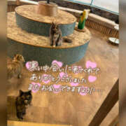 ヒメ日記 2026/02/11 21:51 投稿 ねいる 熟女の風俗最終章 本厚木店