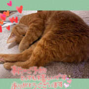 ヒメ日記 2026/02/12 23:11 投稿 ねいる 熟女の風俗最終章 本厚木店