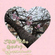 ヒメ日記 2026/02/13 22:51 投稿 ねいる 熟女の風俗最終章 本厚木店