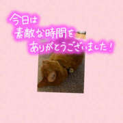 ヒメ日記 2026/02/14 22:01 投稿 ねいる 熟女の風俗最終章 本厚木店