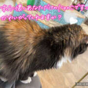 ヒメ日記 2026/02/21 07:31 投稿 ねいる 熟女の風俗最終章 本厚木店