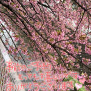 ヒメ日記 2026/02/26 18:32 投稿 ねいる 熟女の風俗最終章 本厚木店