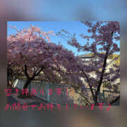 ヒメ日記 2026/03/13 12:01 投稿 ねいる 熟女の風俗最終章 本厚木店