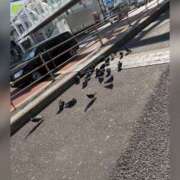 ヒメ日記 2026/03/23 00:11 投稿 ねいる 熟女の風俗最終章 本厚木店