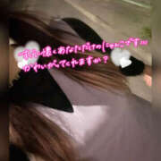 ヒメ日記 2026/04/14 22:01 投稿 ねいる 熟女の風俗最終章 本厚木店