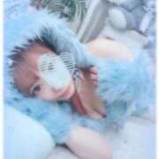 ヒメ日記 2025/10/17 06:13 投稿 せあら にゃんだ☆full☆MIX（にゃんだふるみっくす）