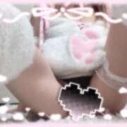 せあら 🩷💗💖💓💕🩷ᩚ にゃんだ☆full☆MIX（にゃんだふるみっくす）