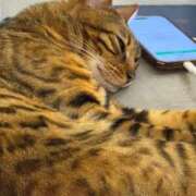 ヒメ日記 2025/07/19 16:16 投稿 北沢 新宿人妻城