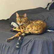 ヒメ日記 2025/10/14 00:28 投稿 北沢 新宿人妻城