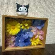 ヒメ日記 2025/11/02 06:00 投稿 鳳凰みさき 奴隷志願！変態調教飼育クラブ梅田店