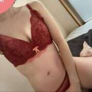 ヒメ日記 2025/11/13 23:01 投稿 鳳凰みさき 奴隷志願！変態調教飼育クラブ梅田店