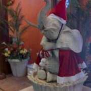 ヒメ日記 2025/11/14 07:00 投稿 鳳凰みさき 奴隷志願！変態調教飼育クラブ梅田店