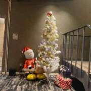 ヒメ日記 2025/11/16 06:45 投稿 鳳凰みさき 奴隷志願！変態調教飼育クラブ梅田店