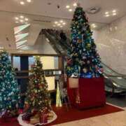 ヒメ日記 2025/11/25 22:03 投稿 鳳凰みさき 奴隷志願！変態調教飼育クラブ梅田店