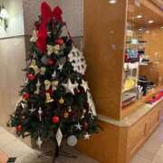 ヒメ日記 2025/12/07 00:30 投稿 鳳凰みさき 奴隷志願！変態調教飼育クラブ梅田店