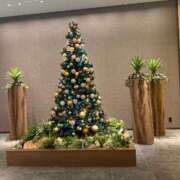 ヒメ日記 2025/12/11 23:58 投稿 鳳凰みさき 奴隷志願！変態調教飼育クラブ梅田店