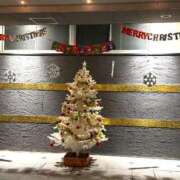 ヒメ日記 2025/12/13 20:59 投稿 鳳凰みさき 奴隷志願！変態調教飼育クラブ梅田店