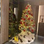 ヒメ日記 2025/12/19 07:00 投稿 鳳凰みさき 奴隷志願！変態調教飼育クラブ梅田店