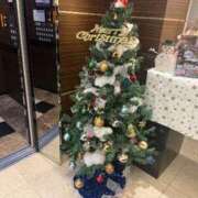 ヒメ日記 2025/12/22 22:15 投稿 鳳凰みさき 奴隷志願！変態調教飼育クラブ梅田店