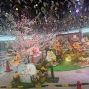 ヒメ日記 2026/03/14 00:34 投稿 鳳凰みさき 奴隷志願！変態調教飼育クラブ梅田店