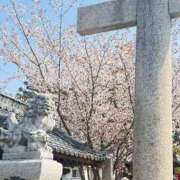 ヒメ日記 2026/03/30 13:35 投稿 鳳凰みさき 奴隷志願！変態調教飼育クラブ梅田店