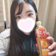 ヒメ日記 2025/07/12 04:03 投稿 くれは もみもみワンダーランド