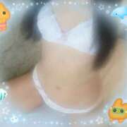 ヒメ日記 2025/07/13 23:17 投稿 有森成美 こあくまな熟女たち 金沢店(KOAKUMAグループ)