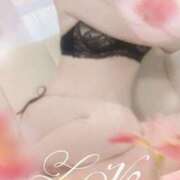 ヒメ日記 2025/10/07 16:02 投稿 田中 千秋 こあくまな熟女たち 京都店(KOAKUMAグループ)