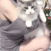 ヒメ日記 2025/09/05 12:32 投稿 ひとみ CLASSY（クラッシー）.神戸