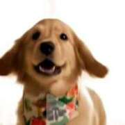 ヒメ日記 2025/12/07 19:20 投稿 みつ パンドラ(上野)