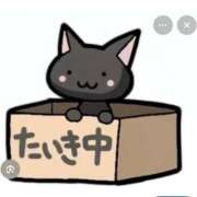 ヒメ日記 2026/05/06 19:16 投稿 みれい ギン妻パラダイス 和歌山店