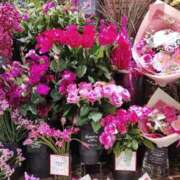 七海 こんにちは。 昼顔妻 五反田店