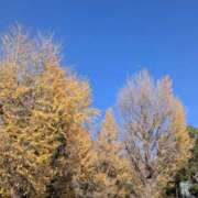 ヒメ日記 2025/12/22 18:40 投稿 にこ 横浜熟女MAX