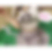 ヒメ日記 2025/09/15 10:26 投稿 いのり 神田ハンドメイド