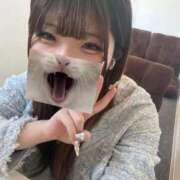 ヒメ日記 2025/11/24 18:50 投稿 みつき ワレメ舐められ学院 秋葉原校